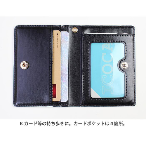 ★新作★超ーレア VS ミラー付き ★カード・パス ケース★ Amazon | LASIEM(ラシエム) パスケース 定期入れ レディース