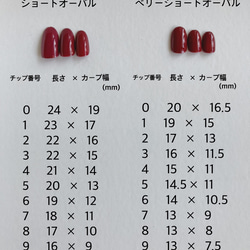 No.9 シアーピンク×シアーブルー×ニュアンス 3枚目の画像