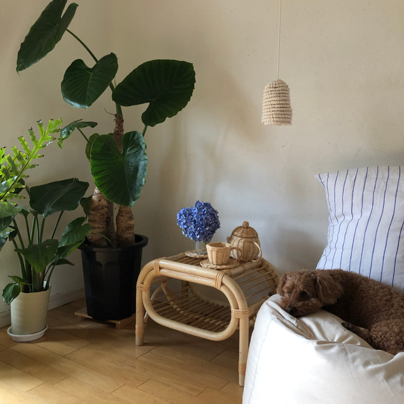 特集掲載　一台3役のラタンベンチ 7枚目の画像