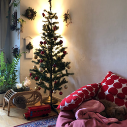 特集掲載　一台3役のラタンベンチ 15枚目の画像