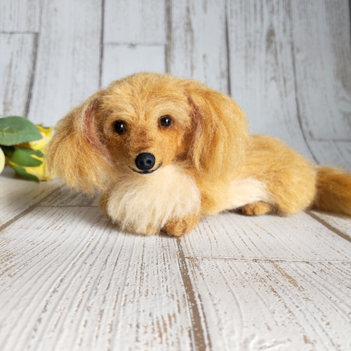 羊毛フェルト　ミニチュアダックス　ゴールド　犬