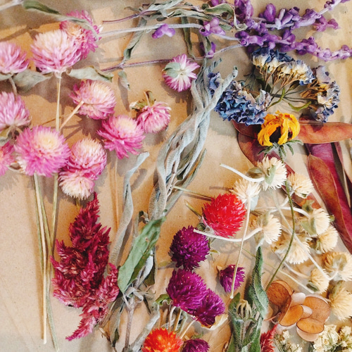 プリザーブドフラワー 花材 大地農園 ビビアン・ミミ・いずみ 大地農園