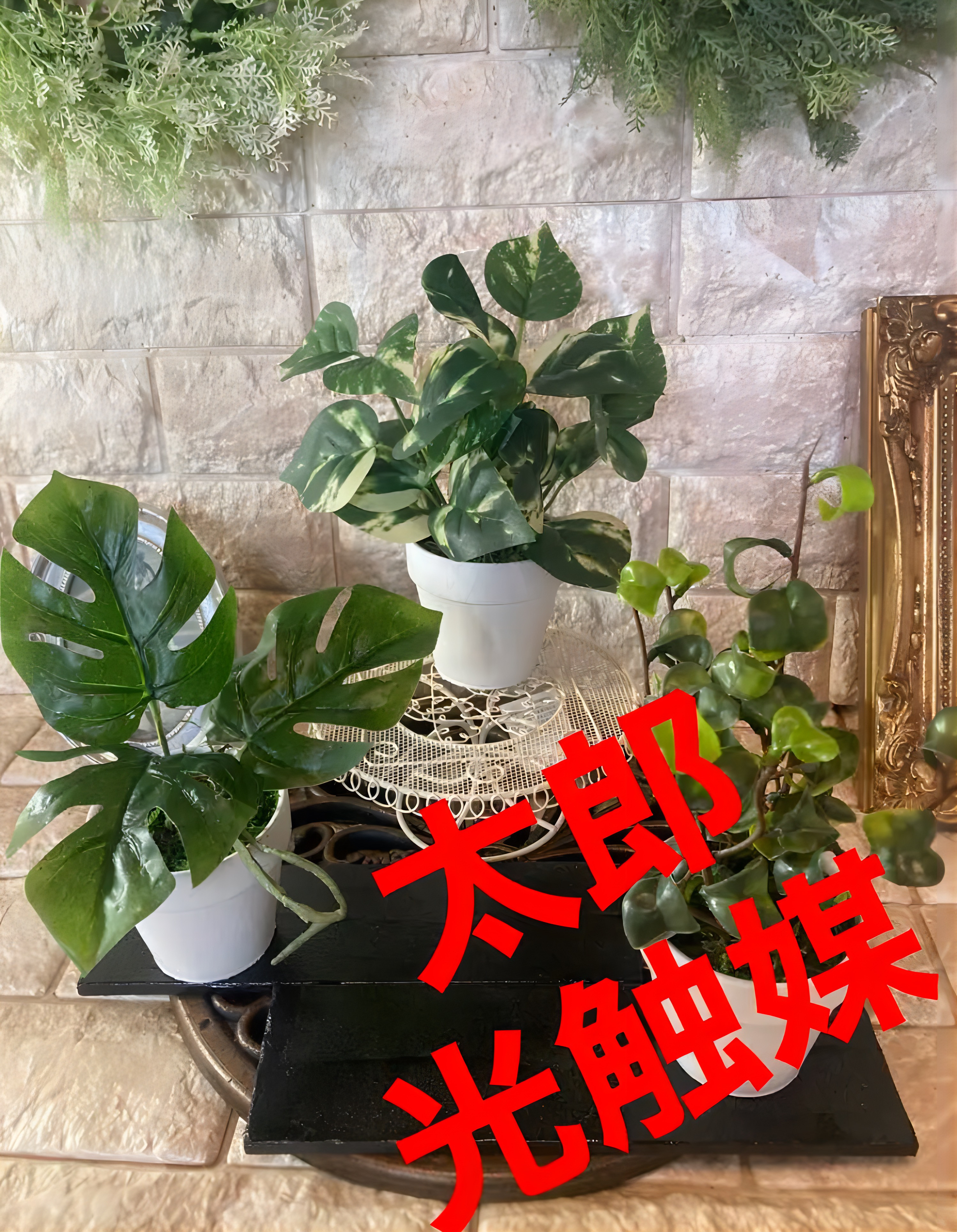 最大63%OFFクーポン 光触媒 人工観葉植物 ウォールグリーン フェイク