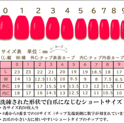 測定用チップ/ネイルチップ/ 2枚目の画像