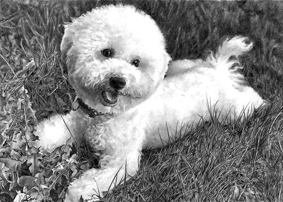 「鉛筆画アート　商品名　ドッグ　　新品未使用 鉛筆画アート 商品名 ドッグ 新品未使用 Tiger, Cat, Original