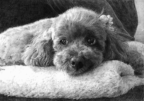 オーダーメイド　サンプル　犬の絵　鉛筆画 1枚目の画像