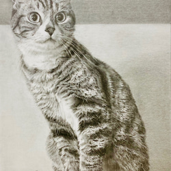 オーダーメイド サンプル 猫の絵 鉛筆画 絵画 ENPITSUYA 通販