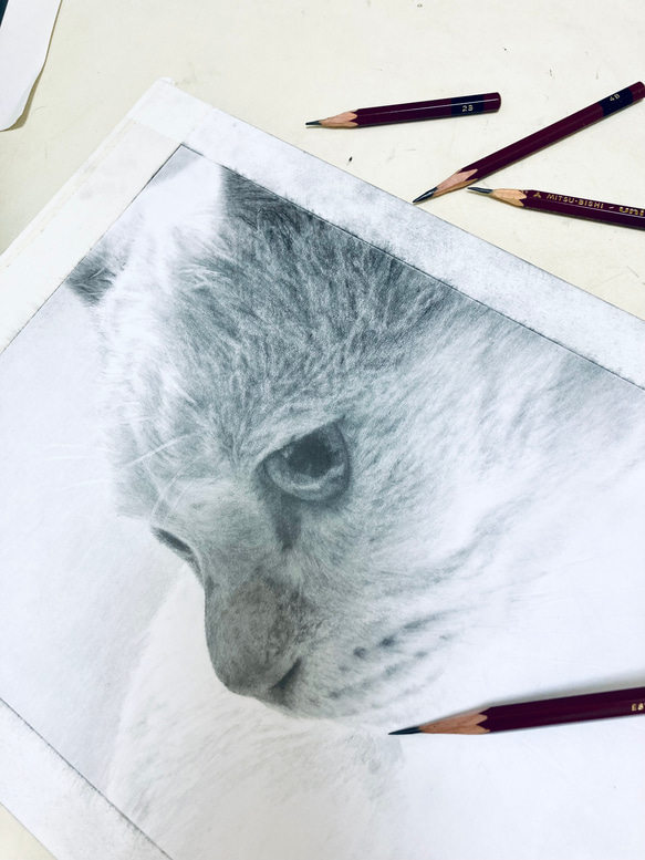 オーダーメイド　サンプル　猫の絵　鉛筆画 3枚目の画像