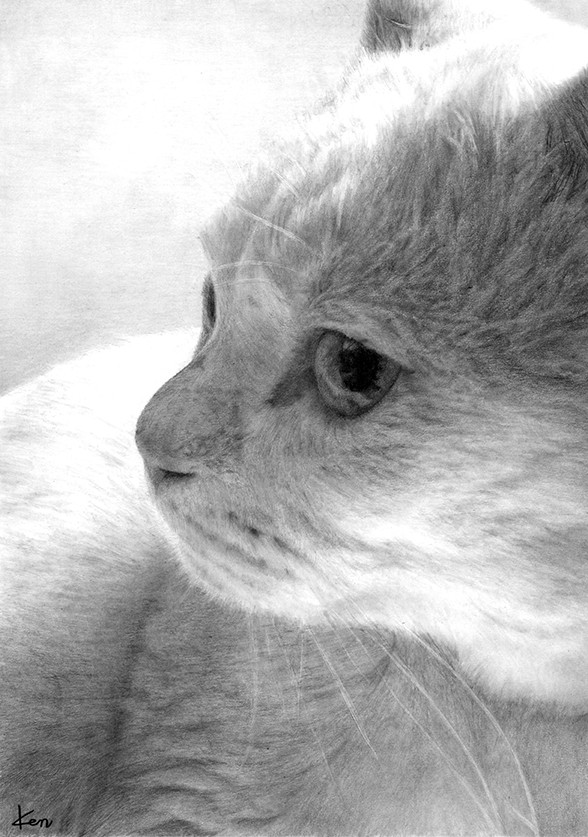 オーダーメイド サンプル 猫の絵 鉛筆画 絵画 ENPITSUYA 通販