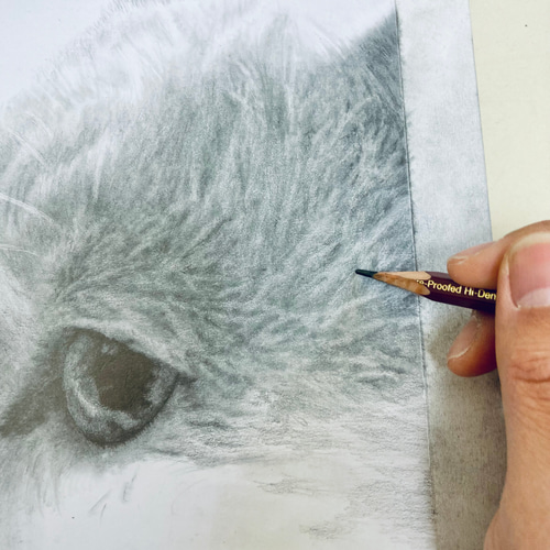 オーダーメイド サンプル 猫の絵 鉛筆画 絵画 ENPITSUYA 通販