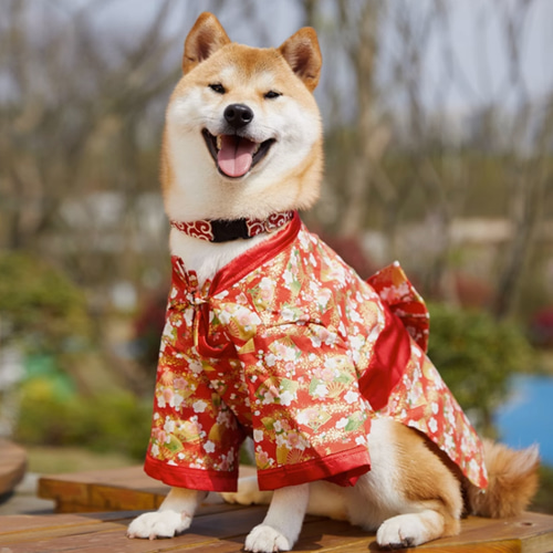 犬服 犬浴衣 祭り雰囲気満々 和服 ペット浴衣 柴犬 超綺麗 4種類