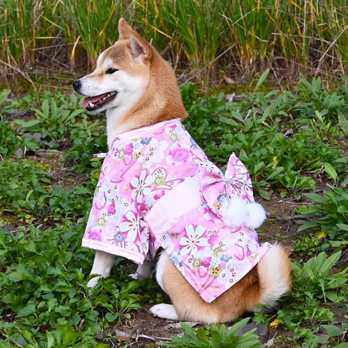 犬服 犬浴衣 祭り雰囲気満々 和服 ペット浴衣 柴犬 超綺麗 4種類
