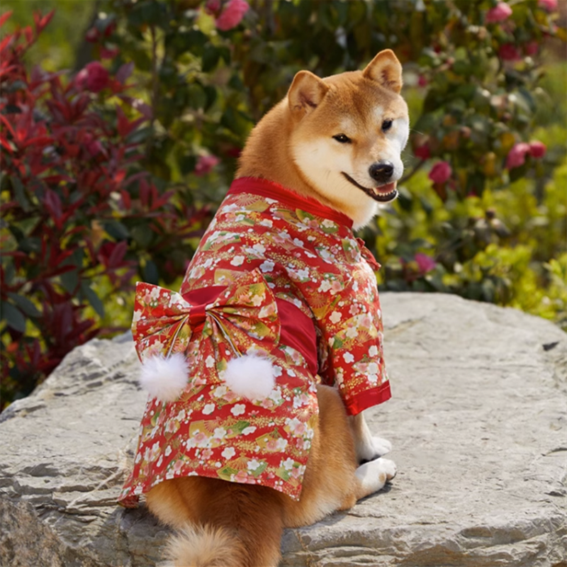 AKKA様❤マルチーズ 柴犬 ダックス 入学式入園式 オブジェ♡