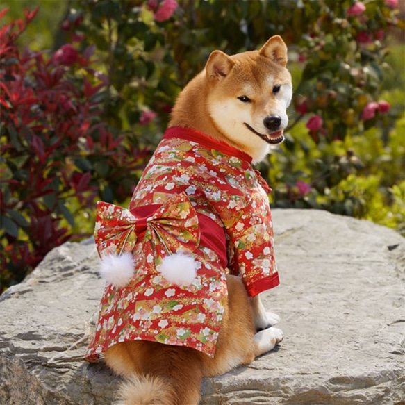 犬服 犬浴衣 祭り雰囲気満々 和服 ペット浴衣 柴犬 超綺麗 4種類