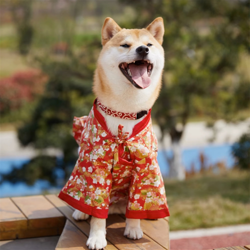 ハンドメイド 和柄 犬服　犬 着物　浴衣　和服　お祭り　夏 楽天市場】浴衣 小型犬用 0～6号 祭り 子犬 お揃い 金魚柄 和装 和服