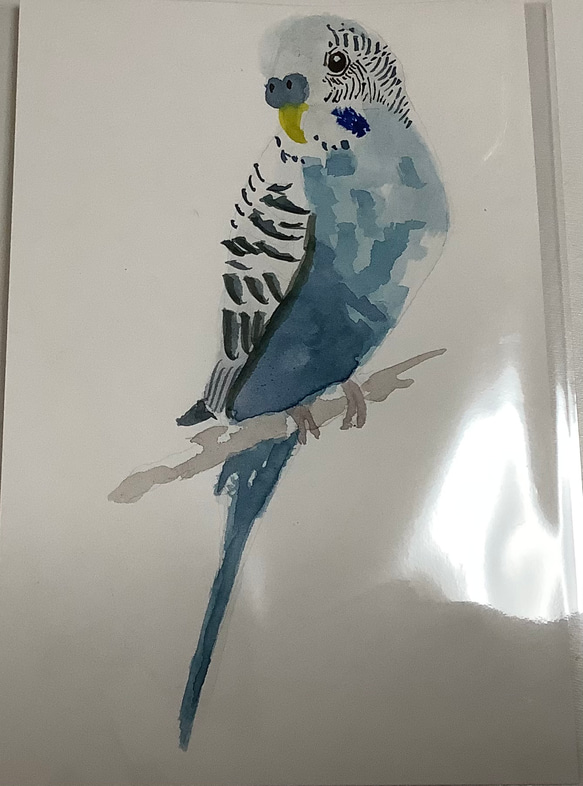 インコ ハガキ 水彩画 イラスト アート 1枚目の画像