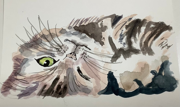 猫 水彩画 ハガキ イラスト アート 1枚目の画像