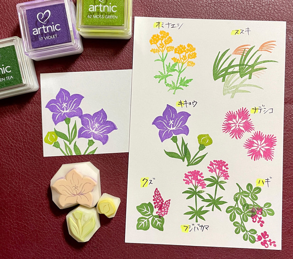 桔梗（キキョウ）の花・蕾・葉の消しゴムはんこ（持ち手つき）＆押し方見本ミニカード 2枚目の画像