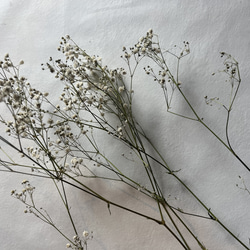 ドライフラワー　花材　素材　かすみ草✿3本セット 7枚目の画像