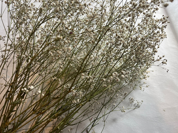 ドライフラワー　花材　素材　かすみ草✿3本セット 3枚目の画像