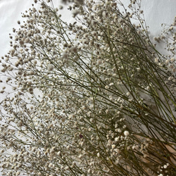 ドライフラワー　花材　素材　かすみ草✿3本セット 4枚目の画像