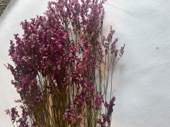 ドライフラワー　花材　素材　単品✿サマーチェリー3本セット 6枚目の画像