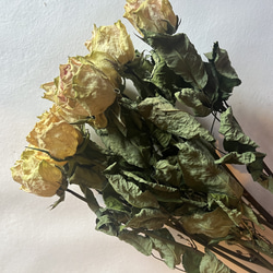ドライフラワー　花材　素材　単品✿薔薇　黄色5本セット 3枚目の画像
