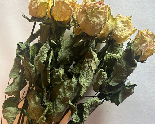 アネモネ　薔薇　カスミソウ　花びら　ヘッド　ドライフラワー　花材 アネモネ 薔薇 カスミソウ 花びら ヘッド ドライフラワー 花材