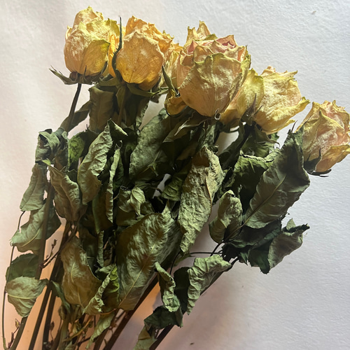 ドライフラワー 花材 素材 単品✿薔薇 黄色5本セット ドライフラワー