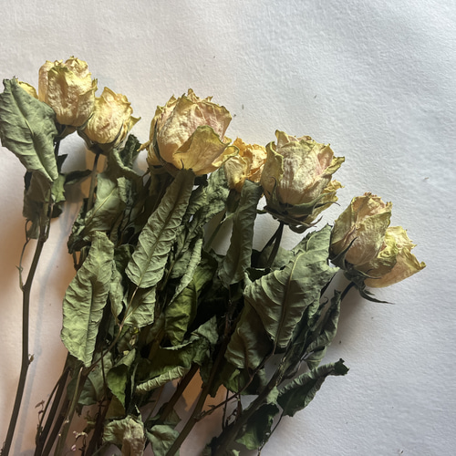 ドライフラワー 花材 素材 単品✿薔薇 黄色5本セット ドライフラワー