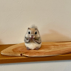 エゾモモンガ 羊毛フェルト よっちみかん 通販 16197598｜Creema(クリーマ)