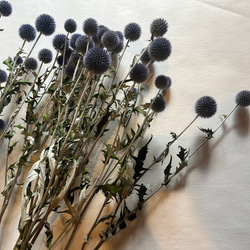 【JURI♡です♡】アンティーク　ドライフラワー　花材　#60 ドライフラワー 花材 素材 単品✿ルリ玉アザミ3本セット ドライ