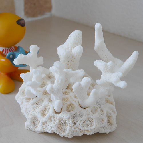 沖縄県宮古島産 天然 ミニサンゴ8点＋土台の球体サンゴ の置物 おうち