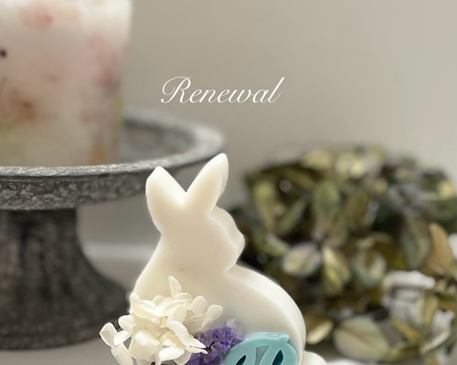 アロマワックスサシェ春❁⃘*.゜ブルー 0_57814d15811e9e0f0bb885a96d45