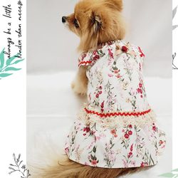 【オーダー】 犬猫服  フリル袖ワンピース   花柄 可愛い わんこ服 犬服 猫服  白系 1枚目の画像