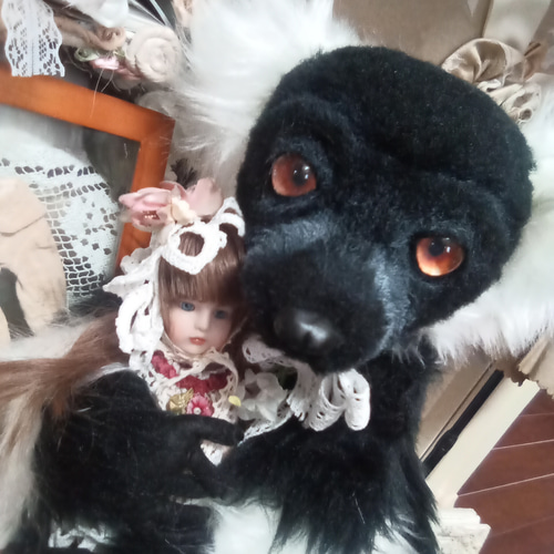 クロシロエリマキキツネザル(*´艸｀*)♥〜リアル♥ ぬいぐるみ 浪漫館 