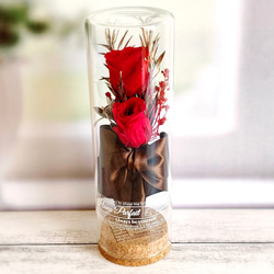 【母の日にも】赤いバラのボトルフラワー / 花言葉入り あなたを愛してます 美しい / 置物 / ガラス瓶 コルク瓶 1枚目の画像
