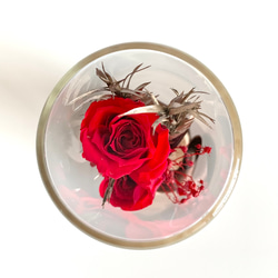【母の日にも】赤いバラのボトルフラワー / 花言葉入り あなたを愛してます 美しい / 置物 / ガラス瓶 コルク瓶 6枚目の画像