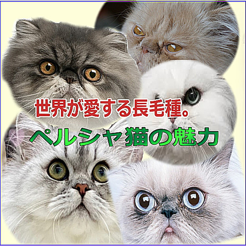 ペルシャ猫 ぬいぐるみ ネコ インテリア 特大 リアルファー イヌ