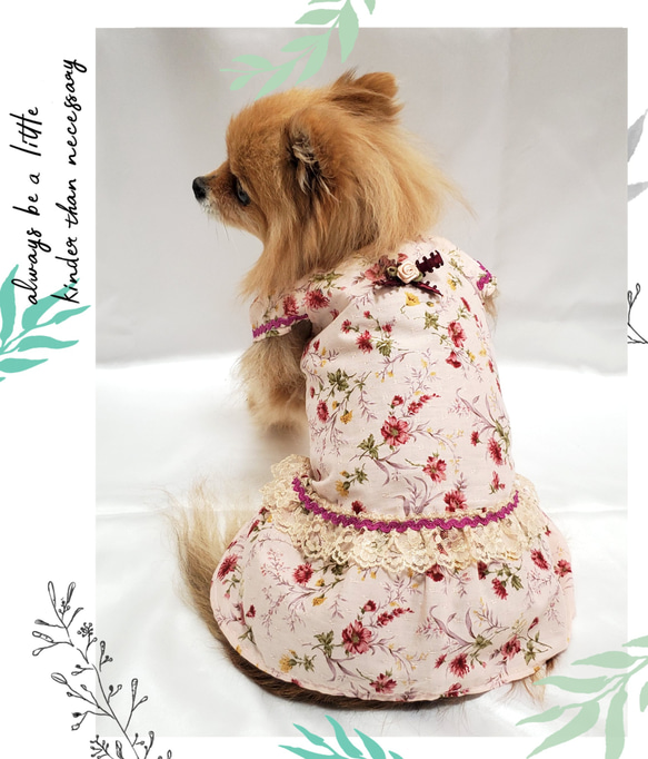 【オーダー】 犬猫服  フリル袖ワンピース   花柄 可愛い わんこ服 犬服 猫服  ピンク系 1枚目の画像