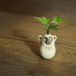 小猴/白花瓶單花瓶 第1張的照片