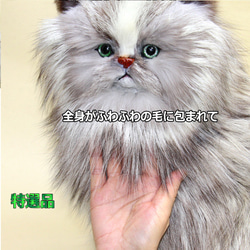 アート ペルシャ猫 ぬいぐるみ ネコ インテリア 特大 リアルファー イヌぬいぐるみ 羊毛フェルトではない 6枚目の画像