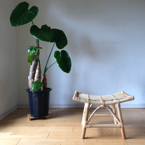 ラタンベンチ 4枚目の画像