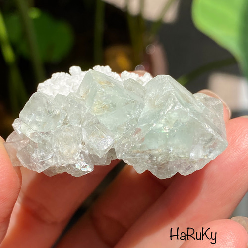 クリアボディ♢ライムグリーン フローライト on ホワイト