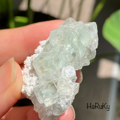 クリアボディ♢ライムグリーン フローライト on ホワイト