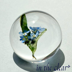 植物標本　忘れな草　青　レジン　４センチ球体 4枚目の画像