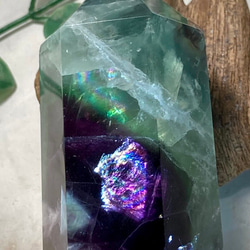 2291e2d490364614b5a7289d744ed7