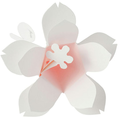 桜の花になるメッセージカード  Hana-kotoba sakura（5枚入） 5枚目の画像
