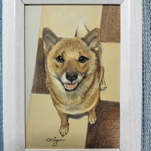 ペットの似顔絵 オーダーメイド 色鉛筆手描き [ハガキサイズ