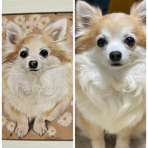 ペットの似顔絵 オーダーメイド 色鉛筆手描き [ハガキサイズ